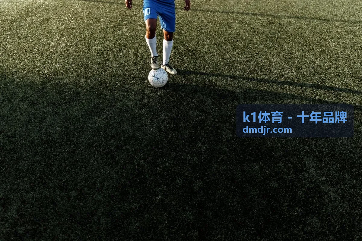 k1体育 - 十年品牌数据排行·华北地区用户统计